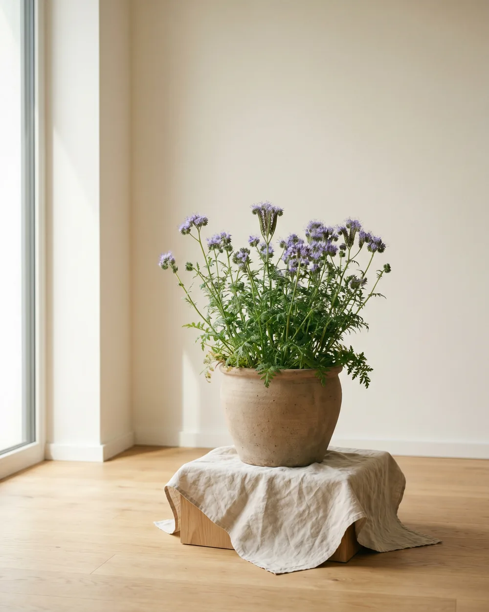 Füllmich styliert im Wohnraum