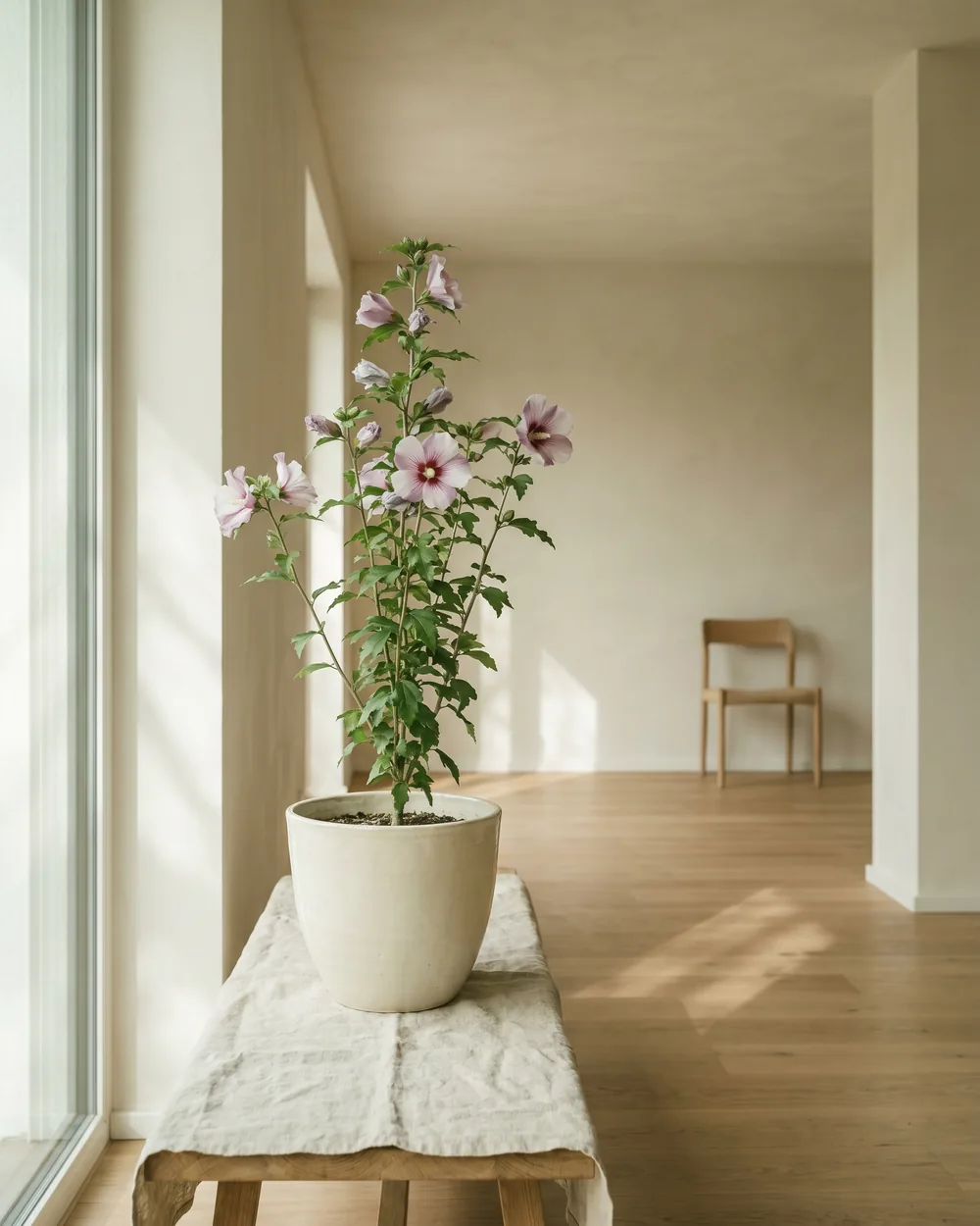 Garten-Hibiskus styliert im Wohnraum
