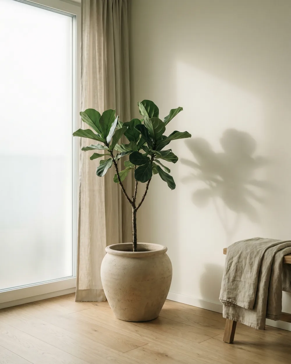 Garten-Yucca styliert im Wohnraum