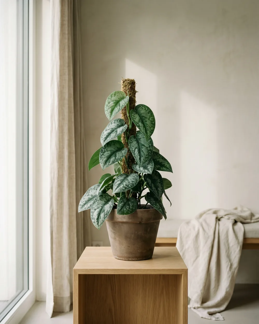 Gefleckter Schlingenspot styliert im Wohnraum