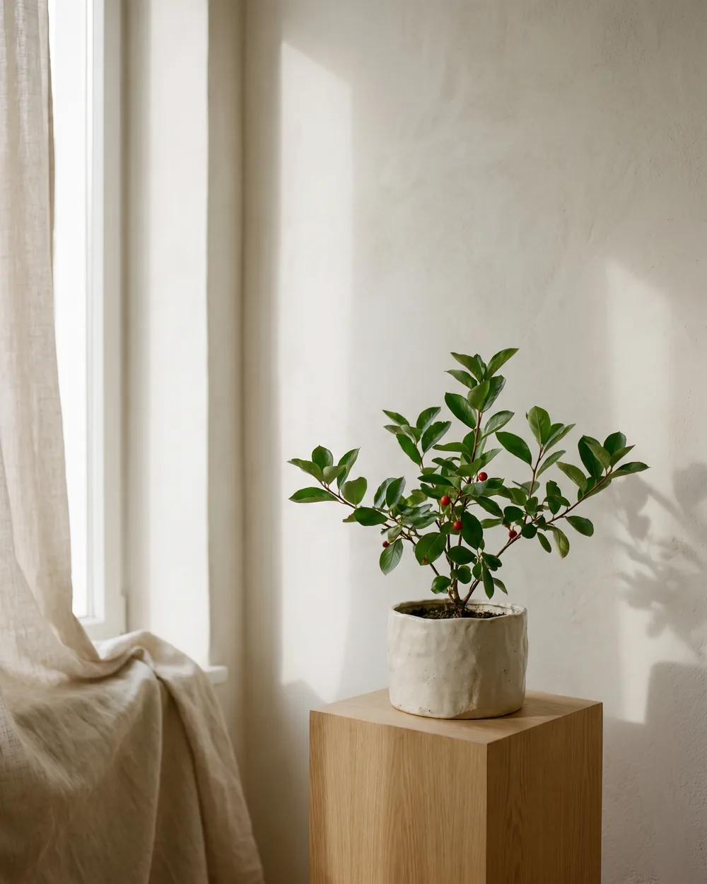 Apfelbeere styliert im Wohnraum