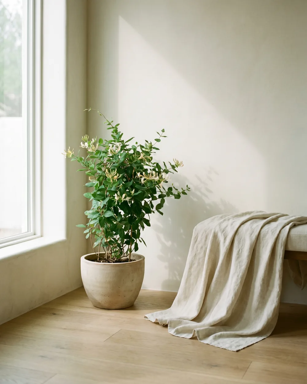 Geißblatt styliert im Wohnraum