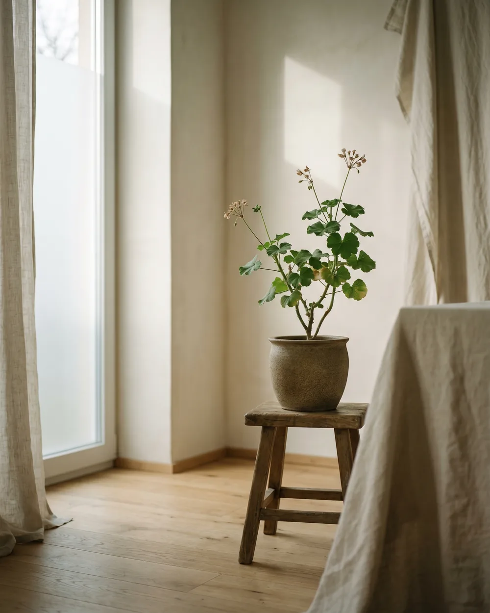 Geranie styliert im Wohnraum