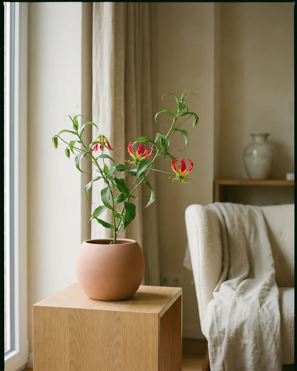 Gloriosa-Lilie styliert im Wohnraum