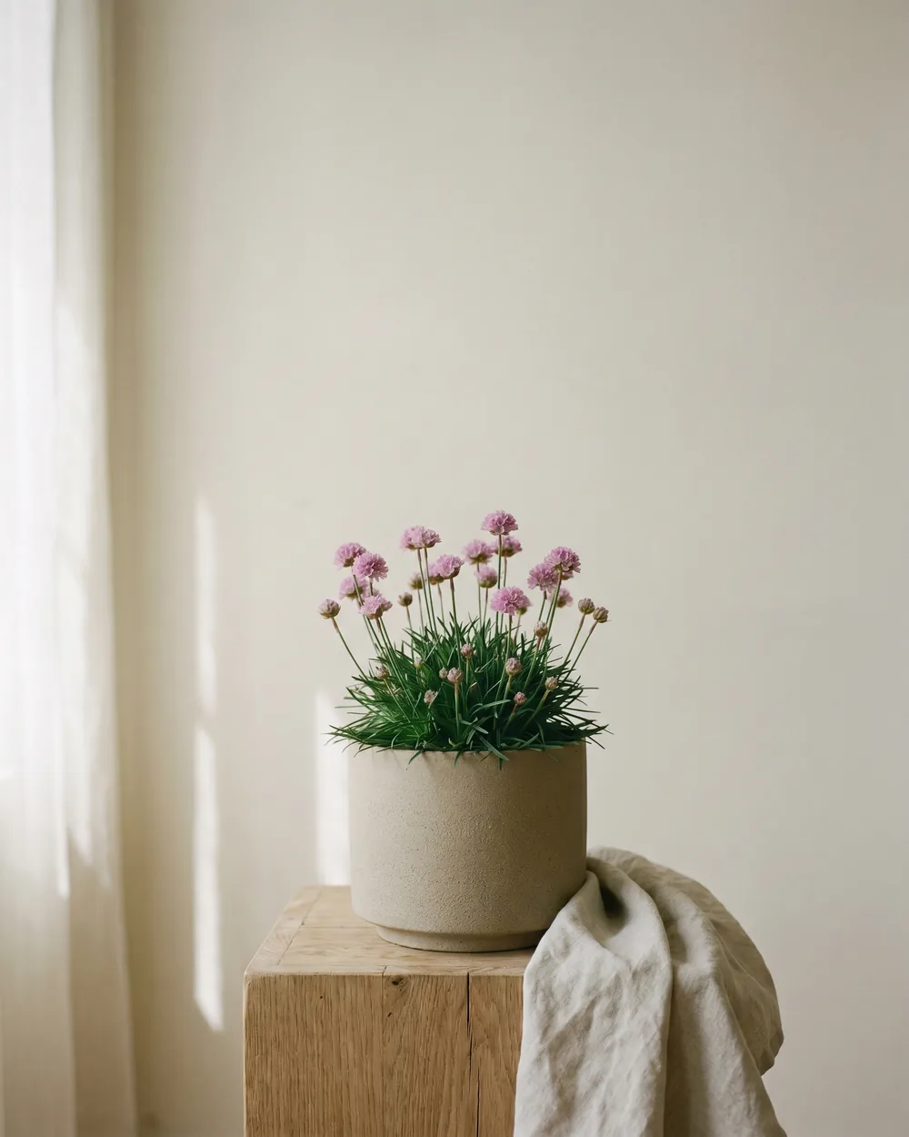 Grasnelke styliert im Wohnraum