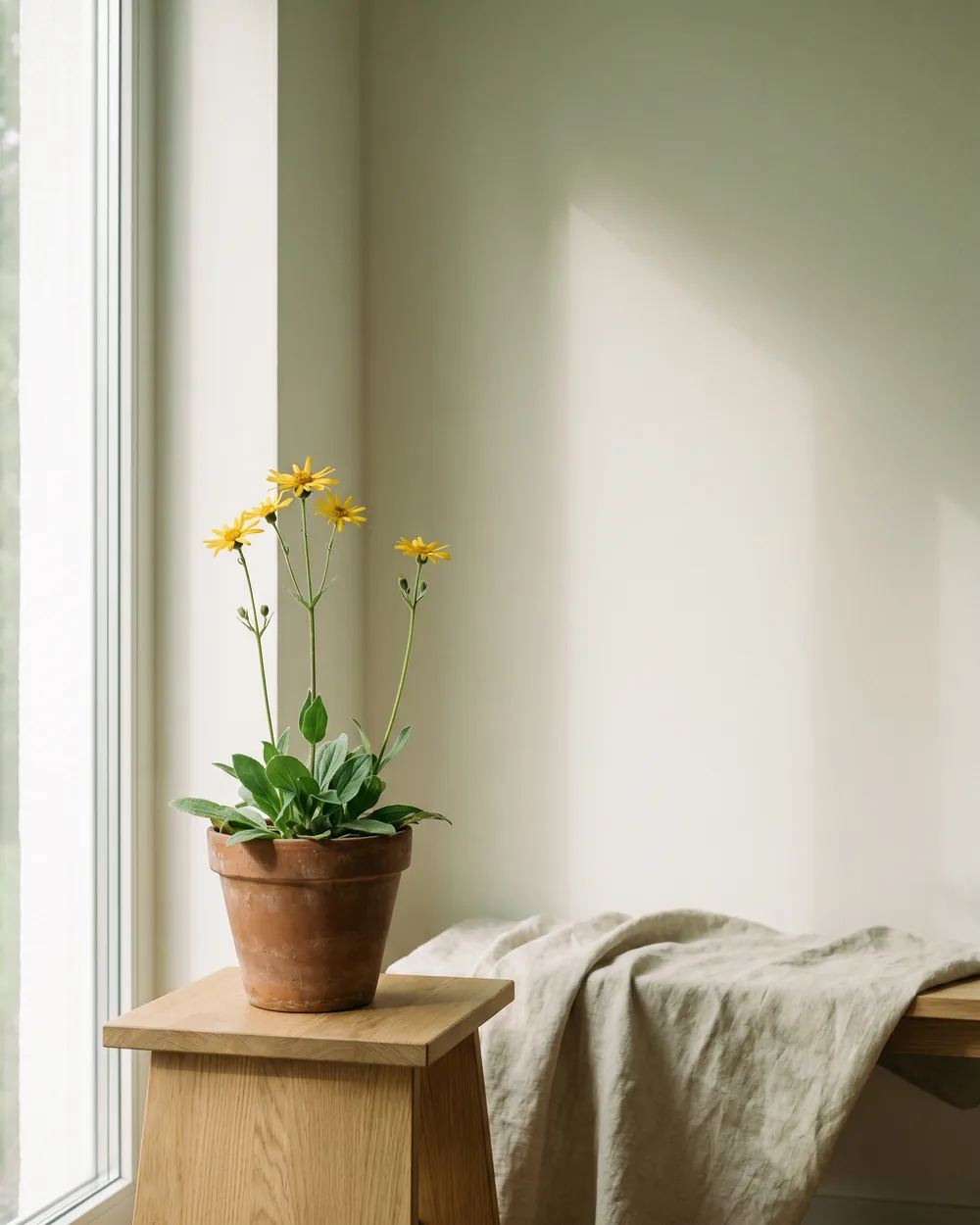 Arnika styliert im Wohnraum