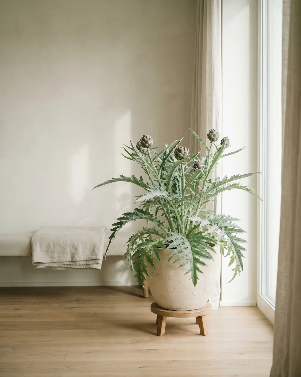 Artischocke styliert im Wohnraum