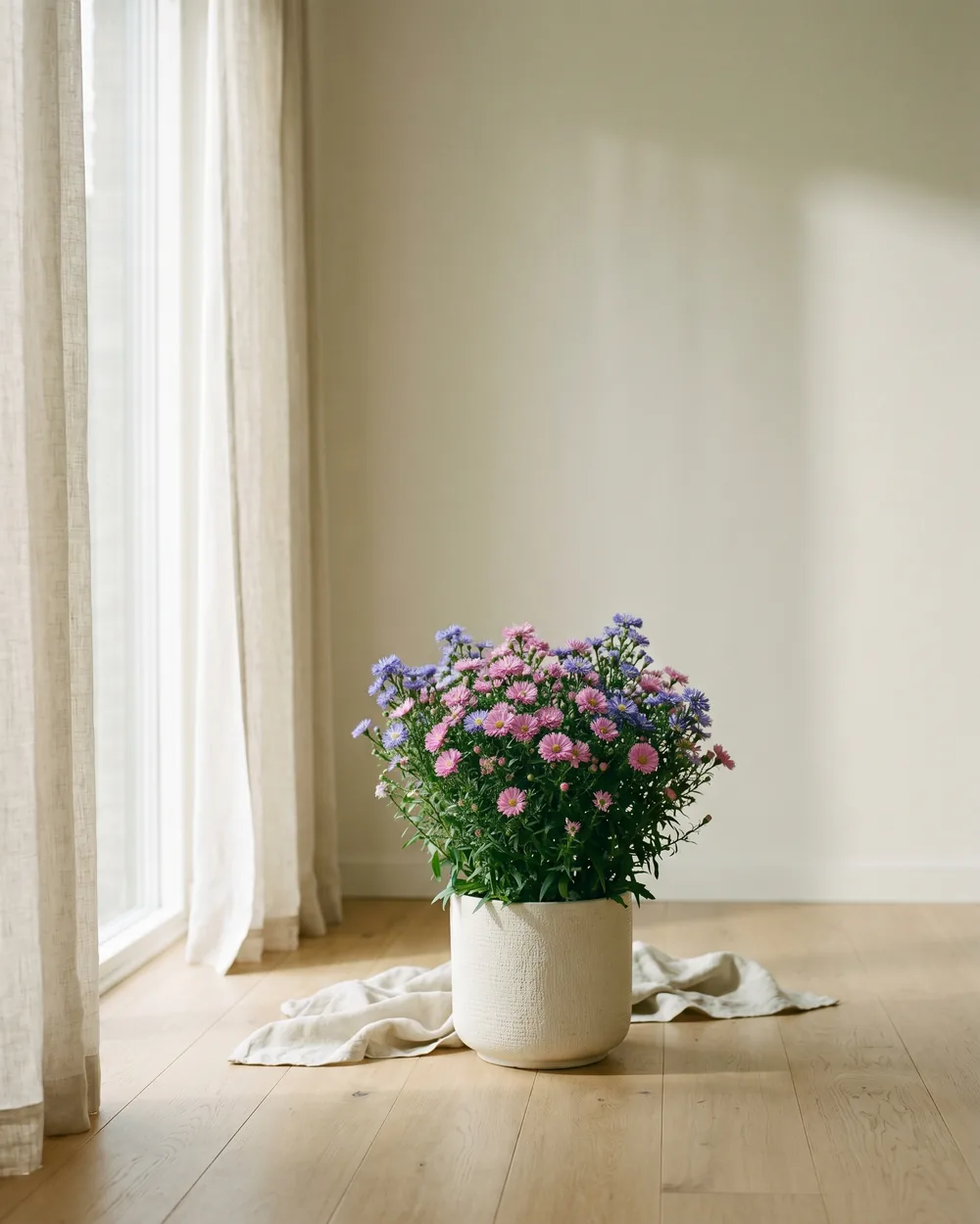 Aster styliert im Wohnraum