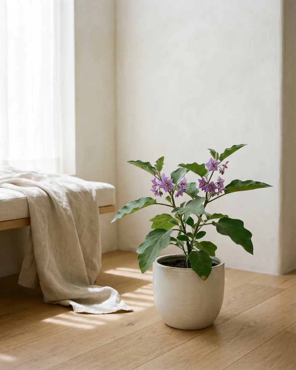 Aubergine styliert im Wohnraum