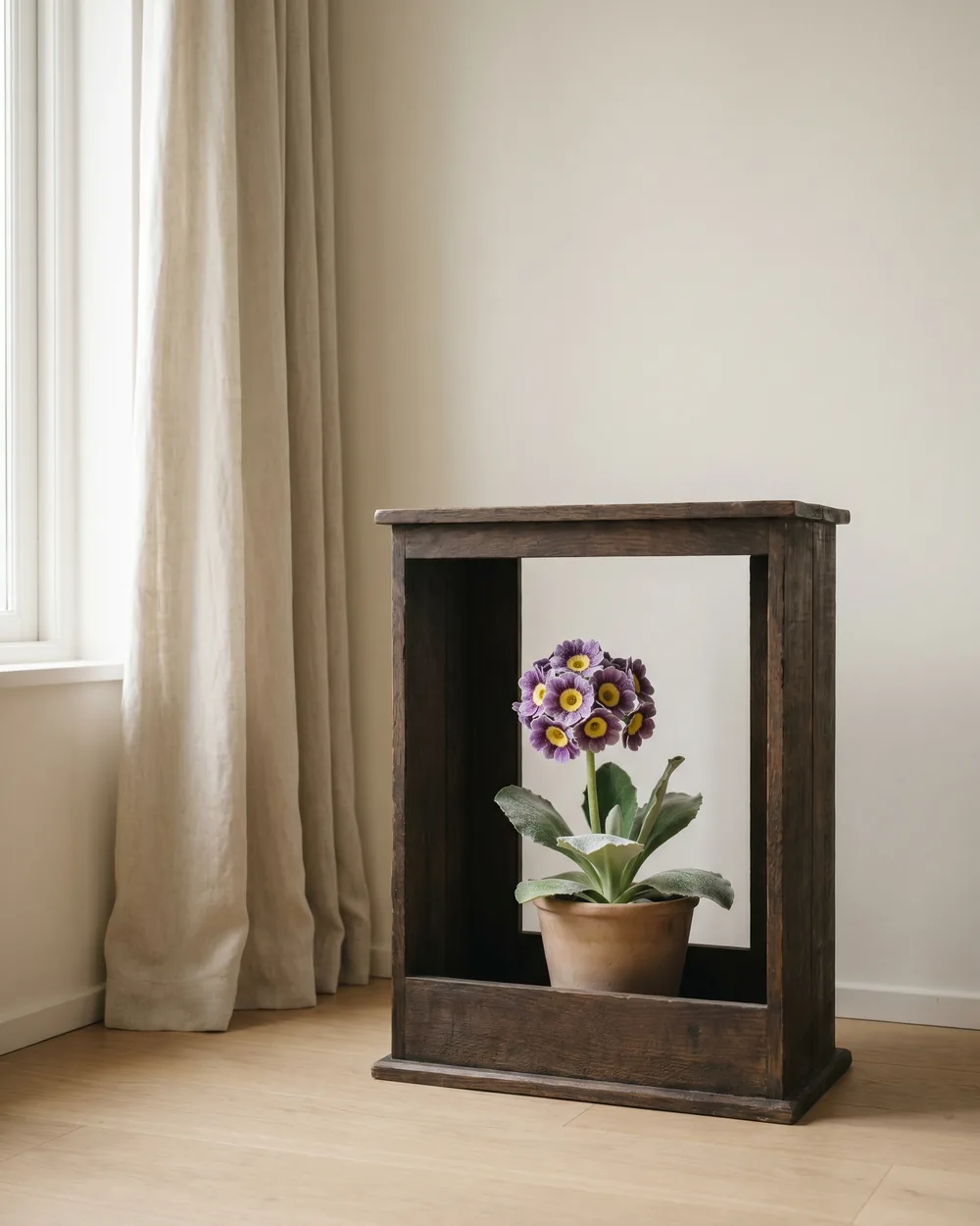 Aurikel styliert im Wohnraum