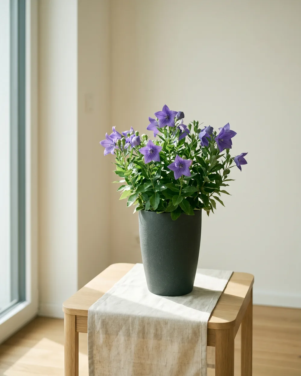 Ballonblume styliert im Wohnraum