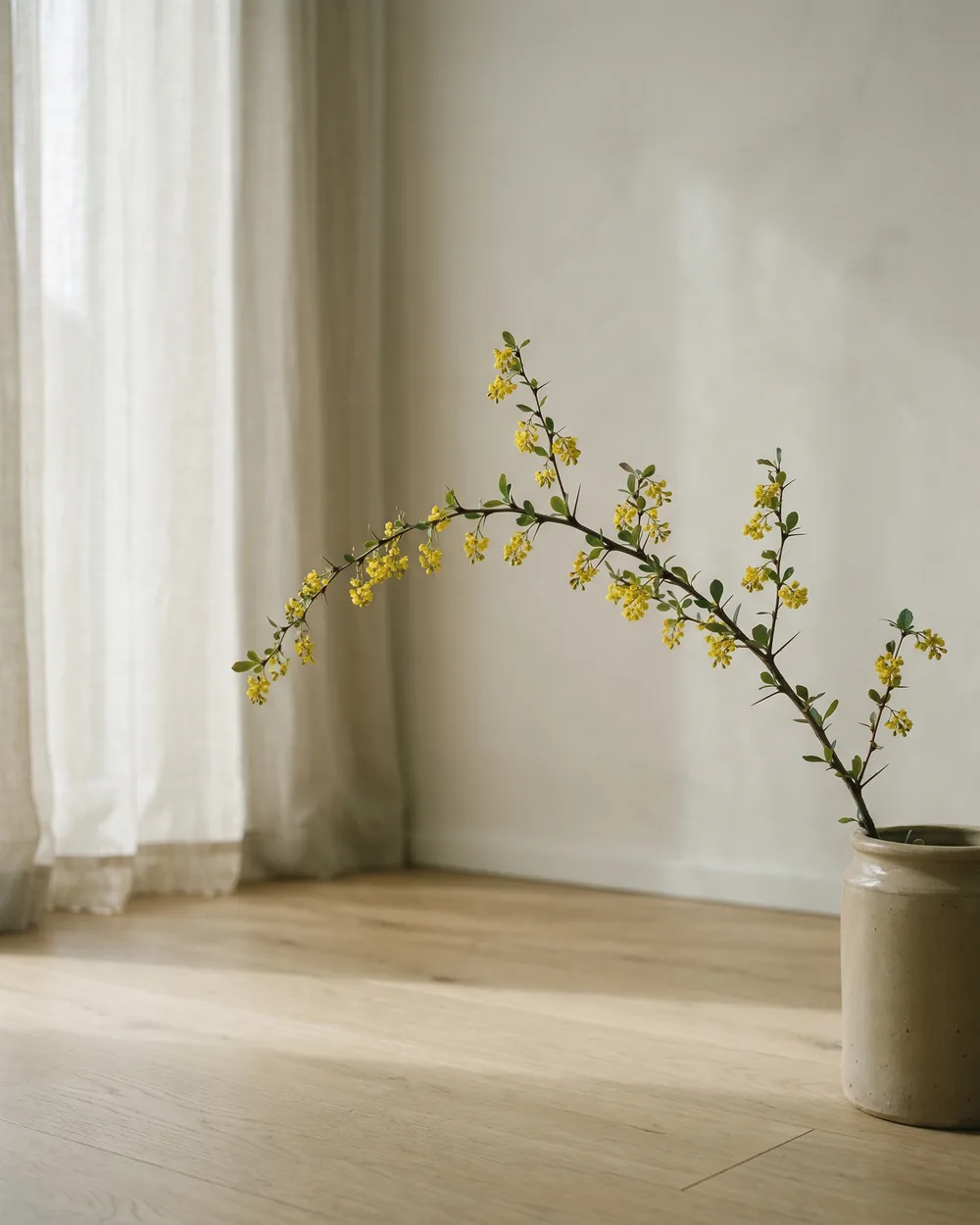 Berberitze styliert im Wohnraum