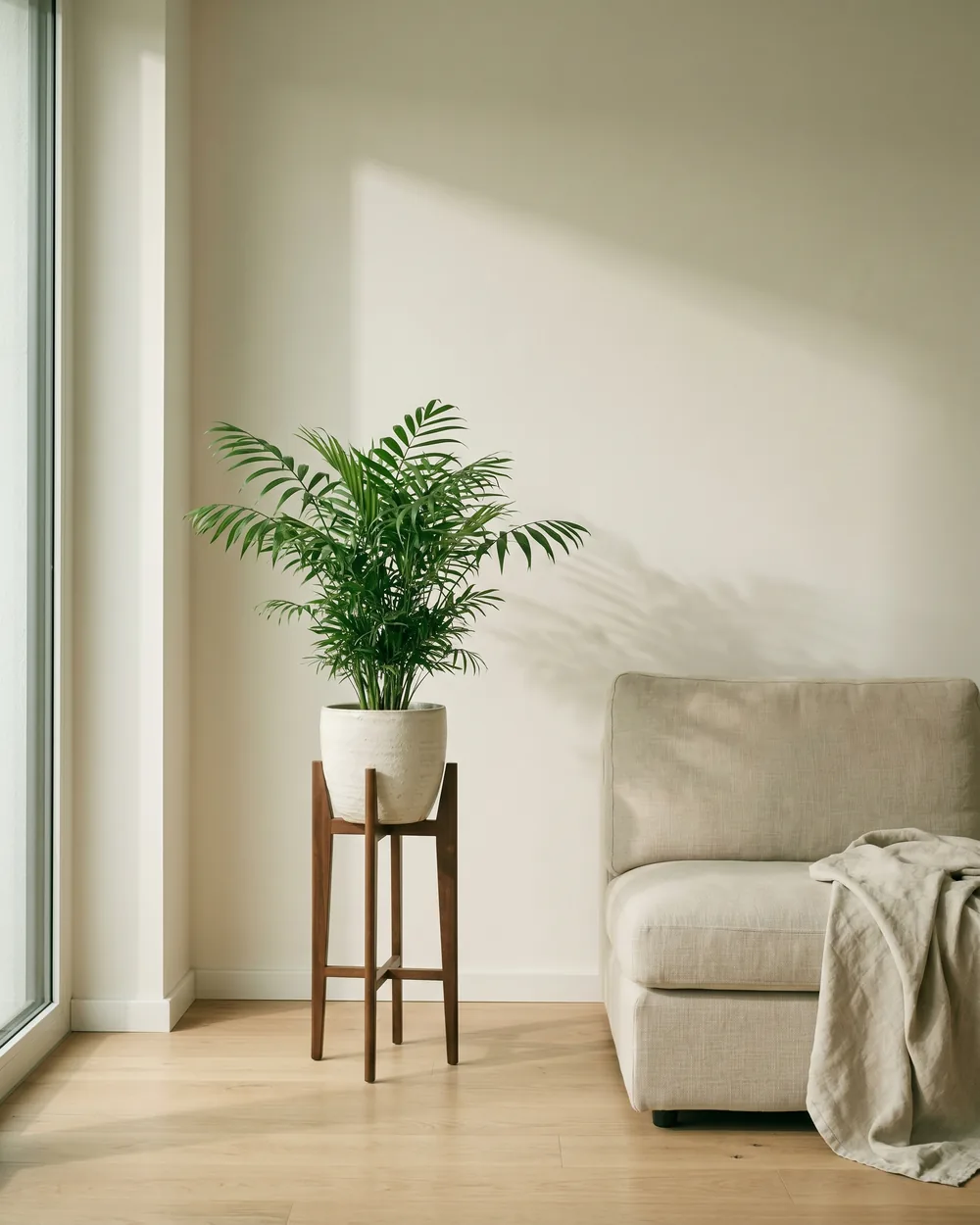 Bergpalme styliert im Wohnraum