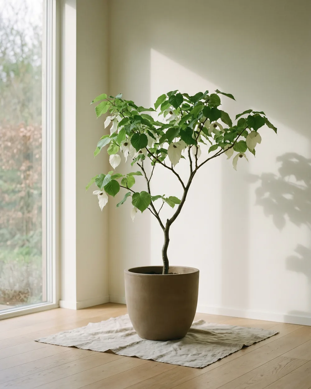 Bienenbaum styliert im Wohnraum