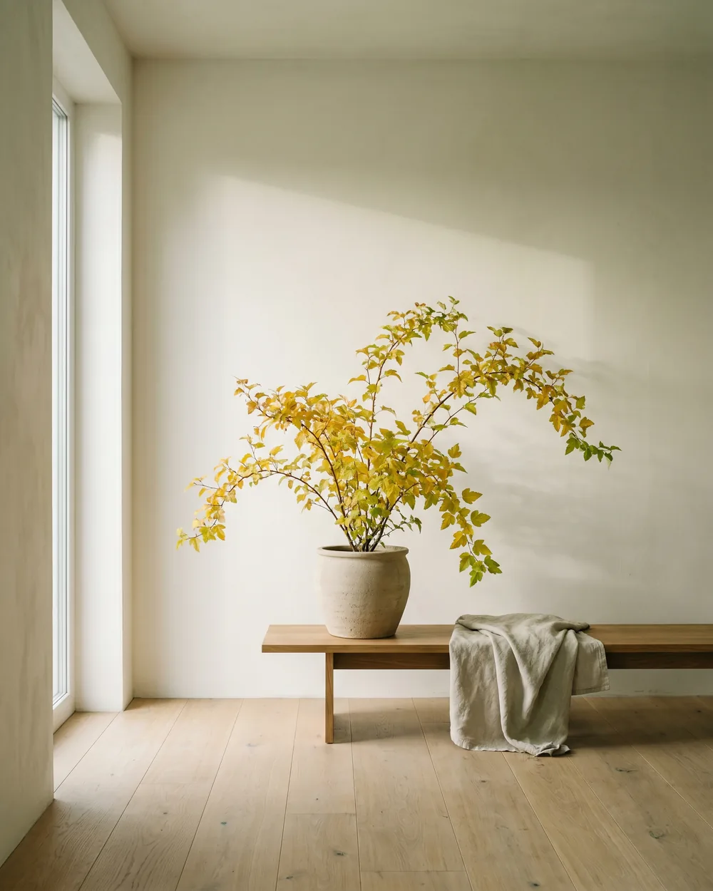 Blasenspiere styliert im Wohnraum