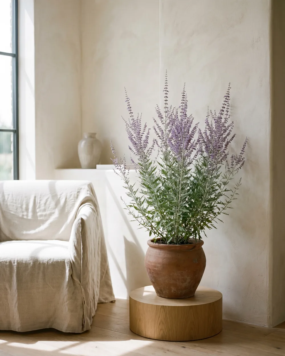 Blauraute styliert im Wohnraum