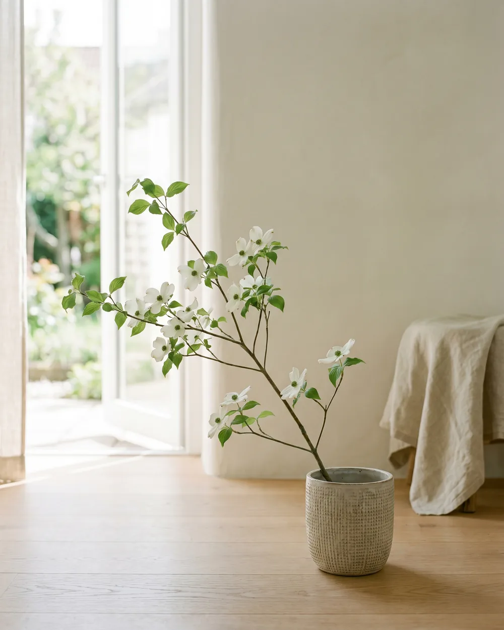 Blumenhartriegel styliert im Wohnraum