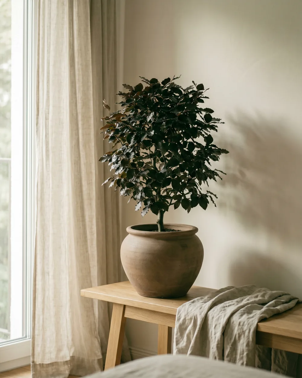 Blutbuche styliert im Wohnraum