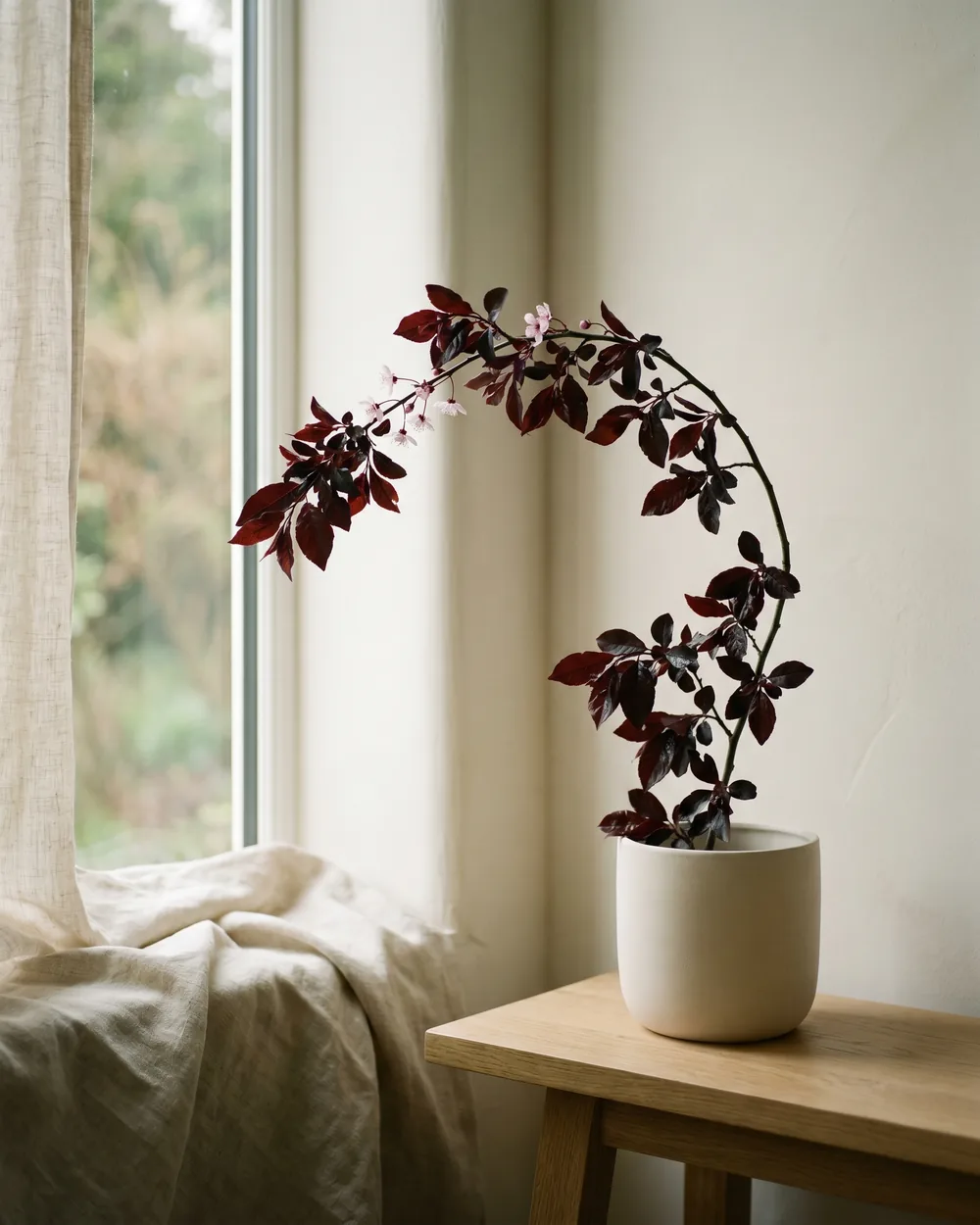 Blutpflaume styliert im Wohnraum