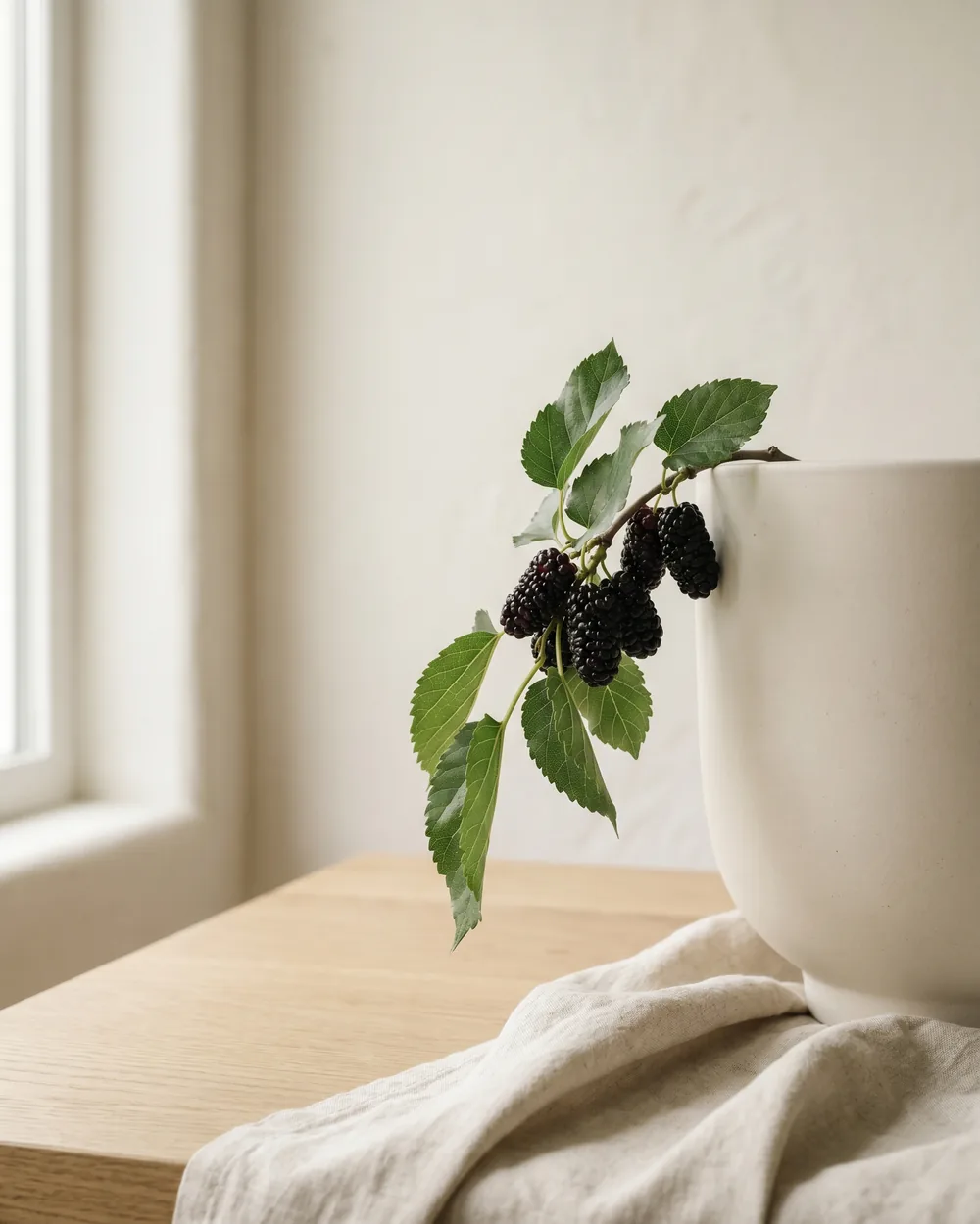 Schwarze Maulbeere Detail