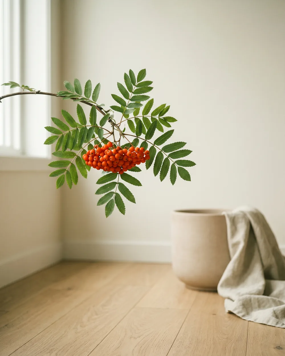 Sorbus Detail