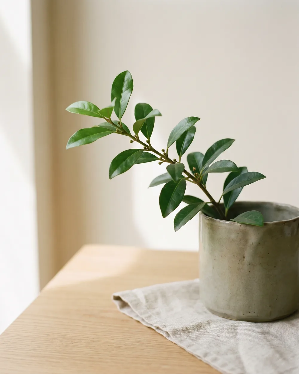 Süßblätter Detail