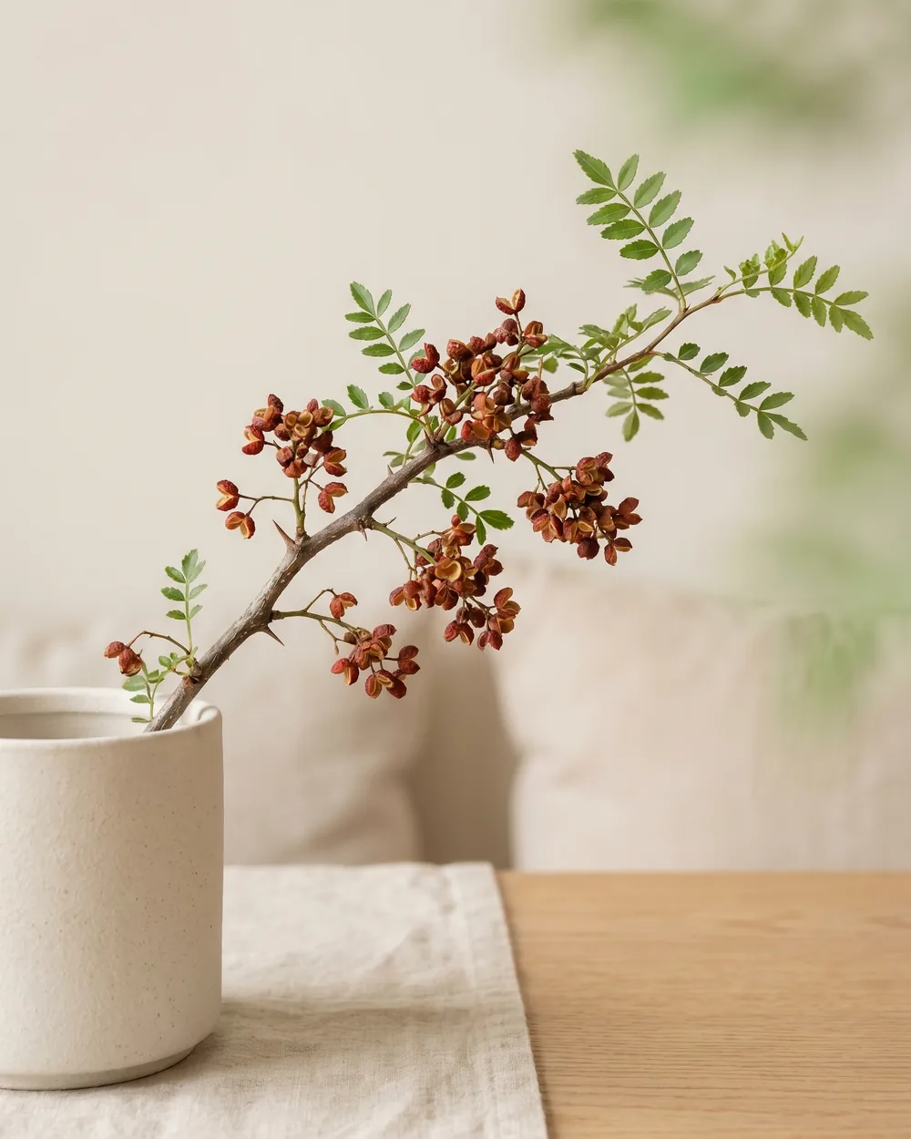 Szechuanpfeffer Detail