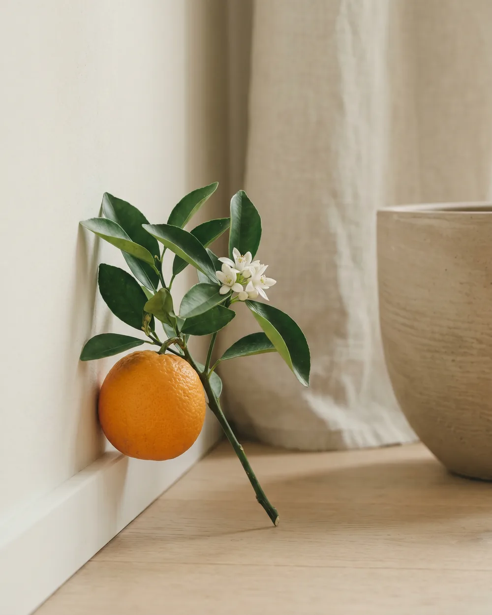 Kalkmandarine Detail