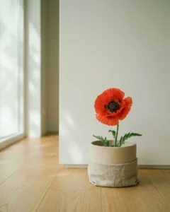 Mohn – hero