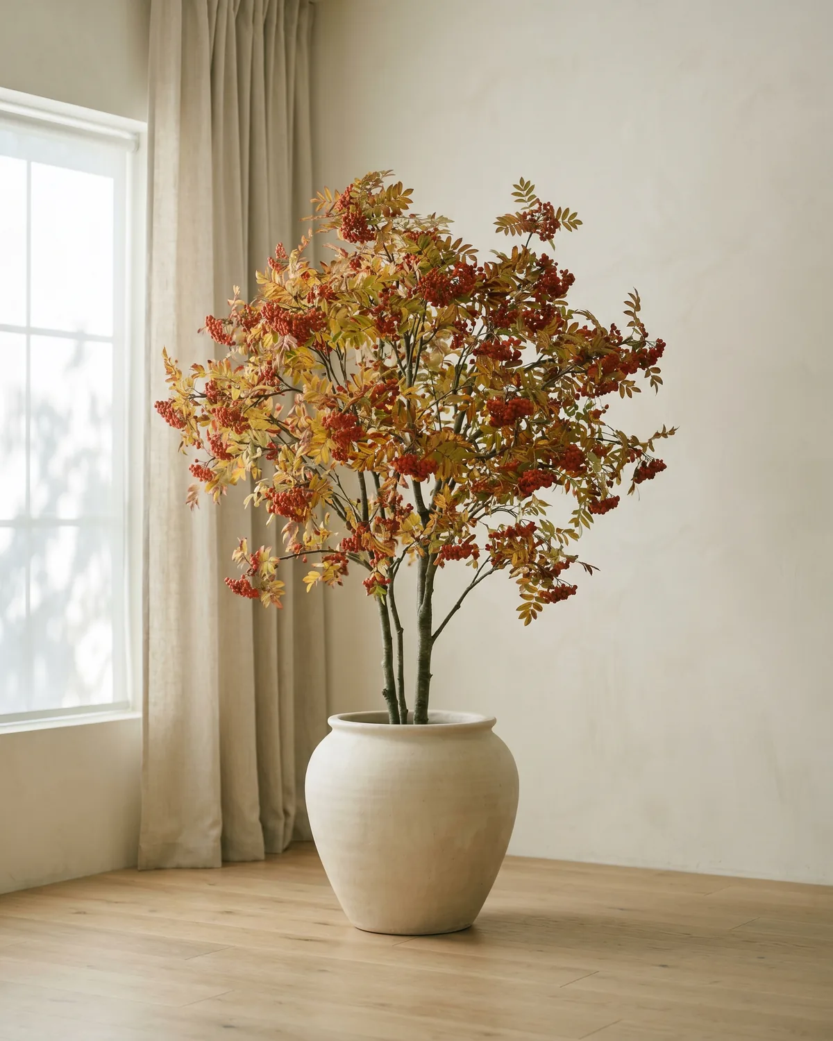 Sorbus – Hauptbild