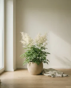 Wald-Geißbart – hero