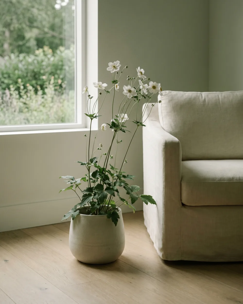 Herbst-Anemone styliert im Wohnraum