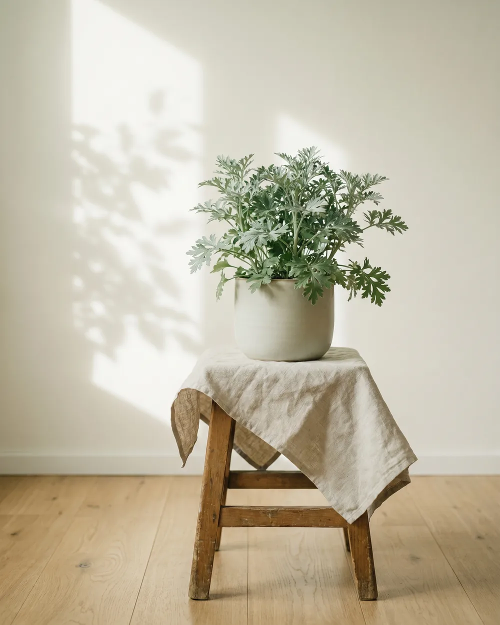 Wermut styliert im Wohnraum