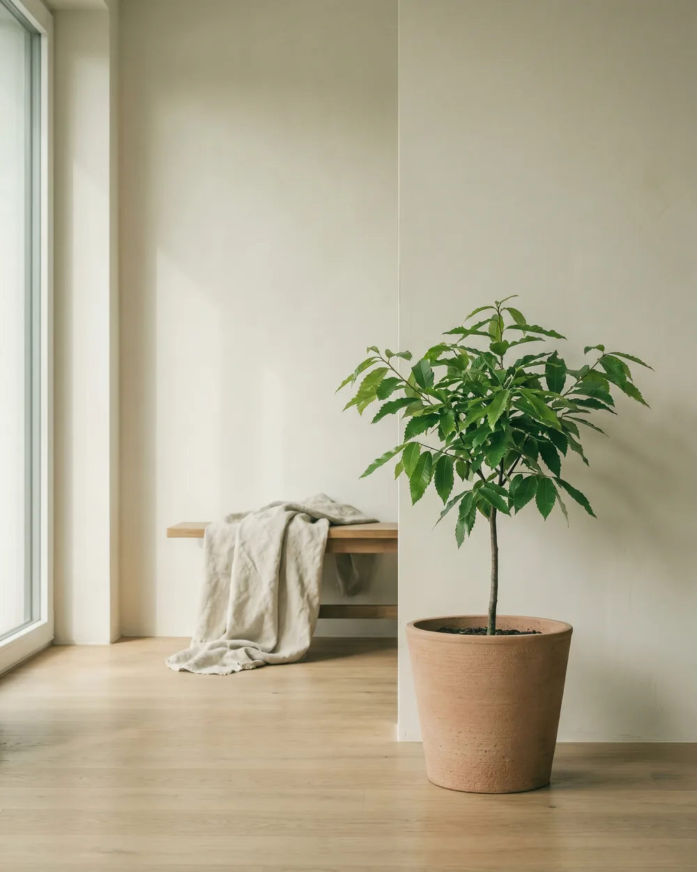 Kastanienbaum styliert im Wohnraum