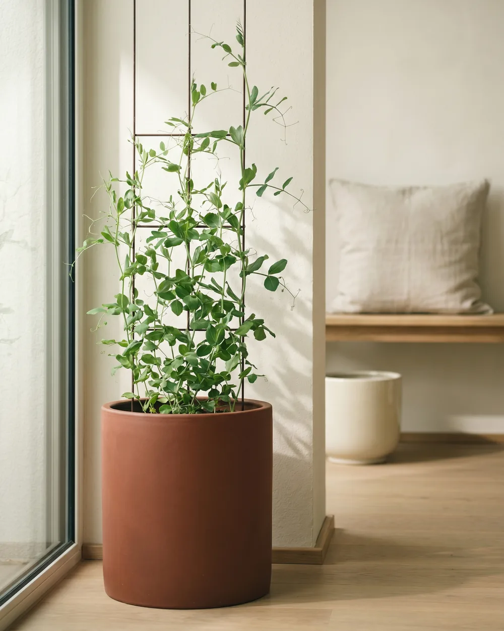 Wicke styliert im Wohnraum