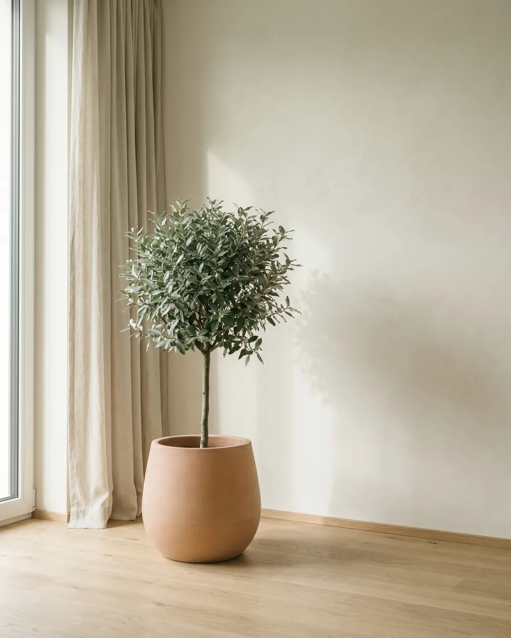 Wintergrüne Ölweide styliert im Wohnraum