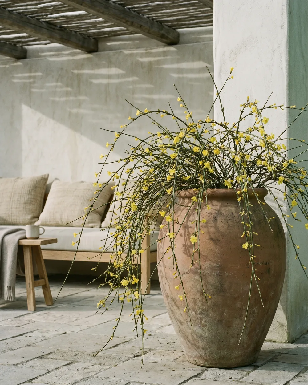Winterjasmin styliert im Wohnraum