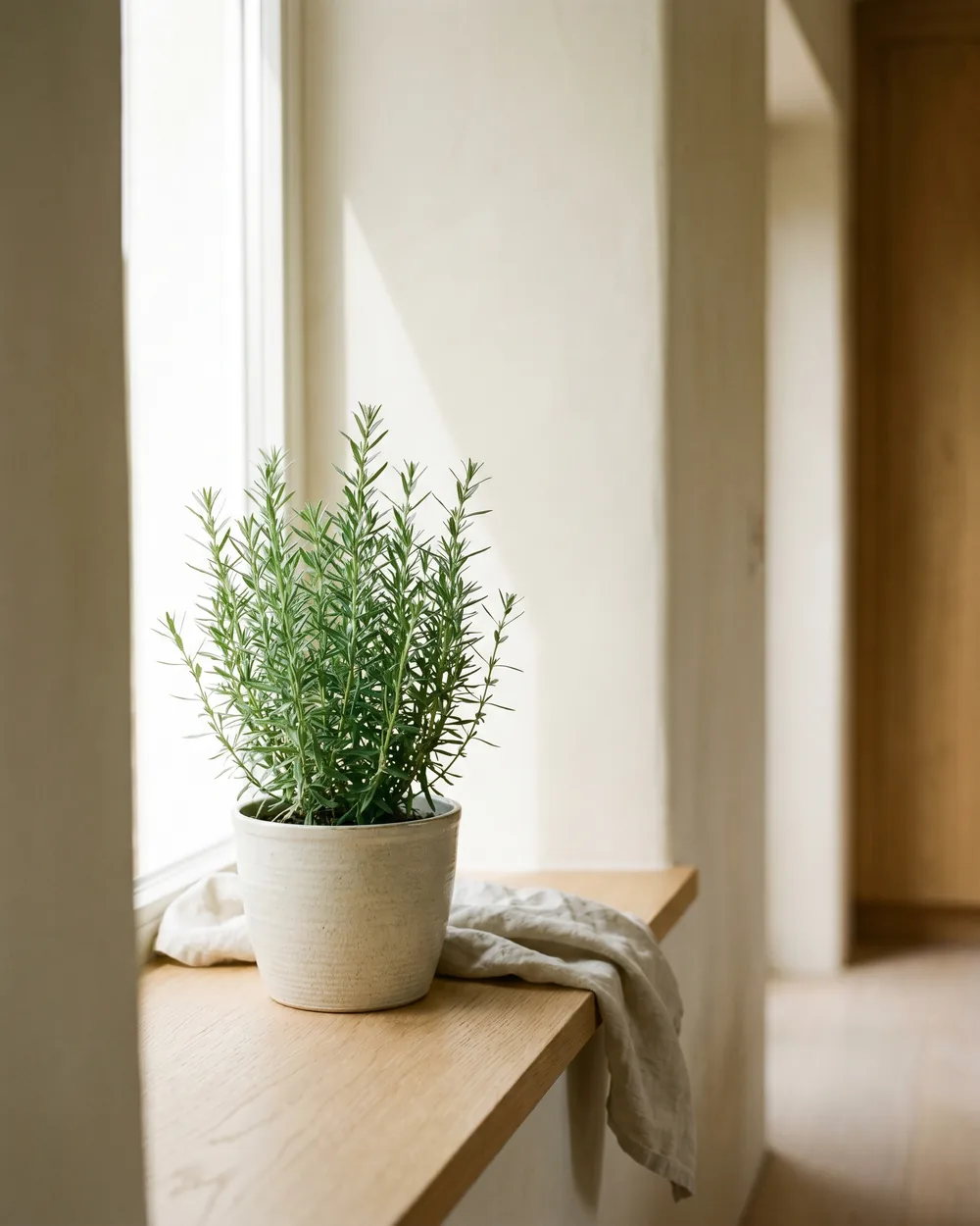 Ysop styliert im Wohnraum