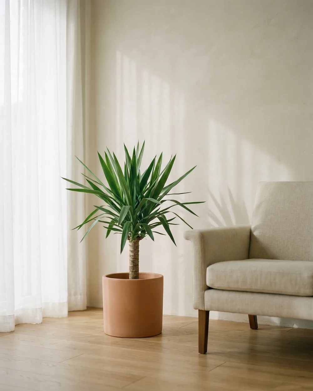 Yucca-Palme styliert im Wohnraum