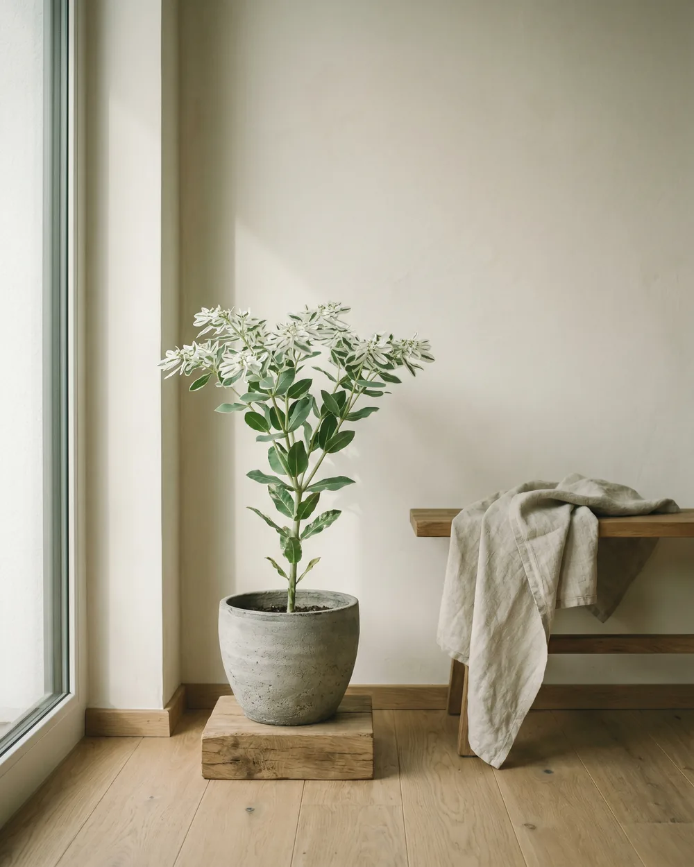 Zauberschnee styliert im Wohnraum