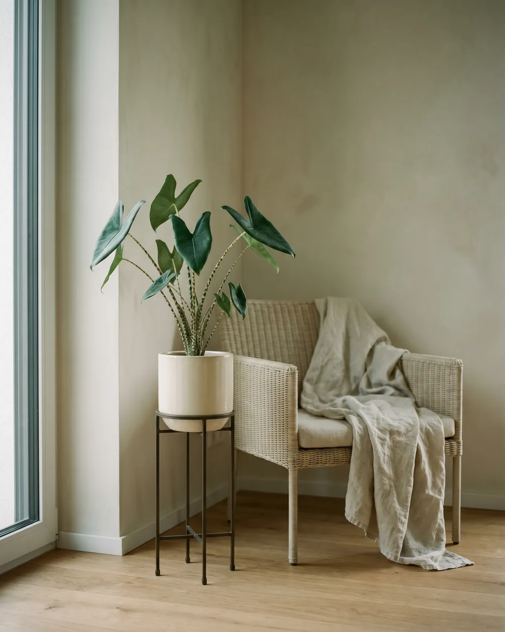 Zebragemüse styliert im Wohnraum
