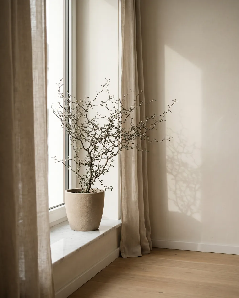 Zickzackstrauch styliert im Wohnraum