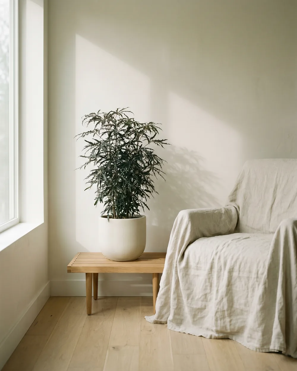 Zimmeresche styliert im Wohnraum