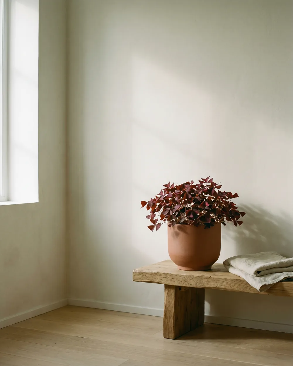 Klee styliert im Wohnraum