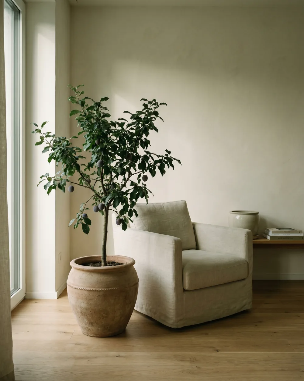 Zwetschge styliert im Wohnraum