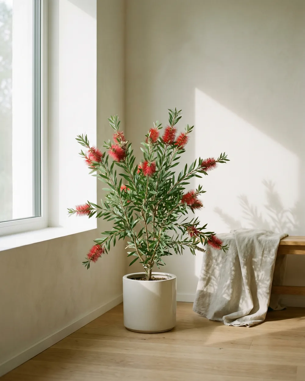 Zylinderputzer styliert im Wohnraum