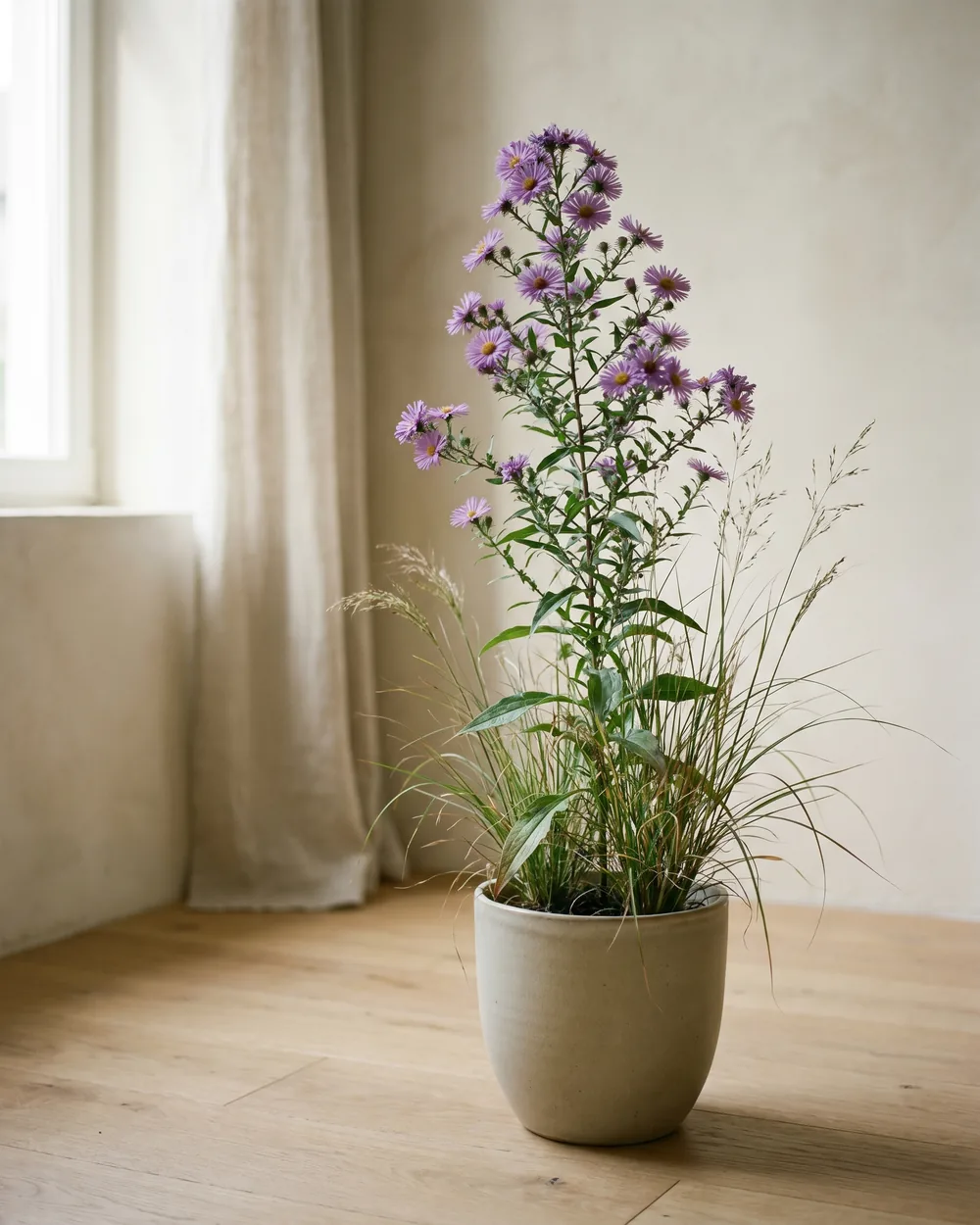 Herbstaster styliert im Wohnraum