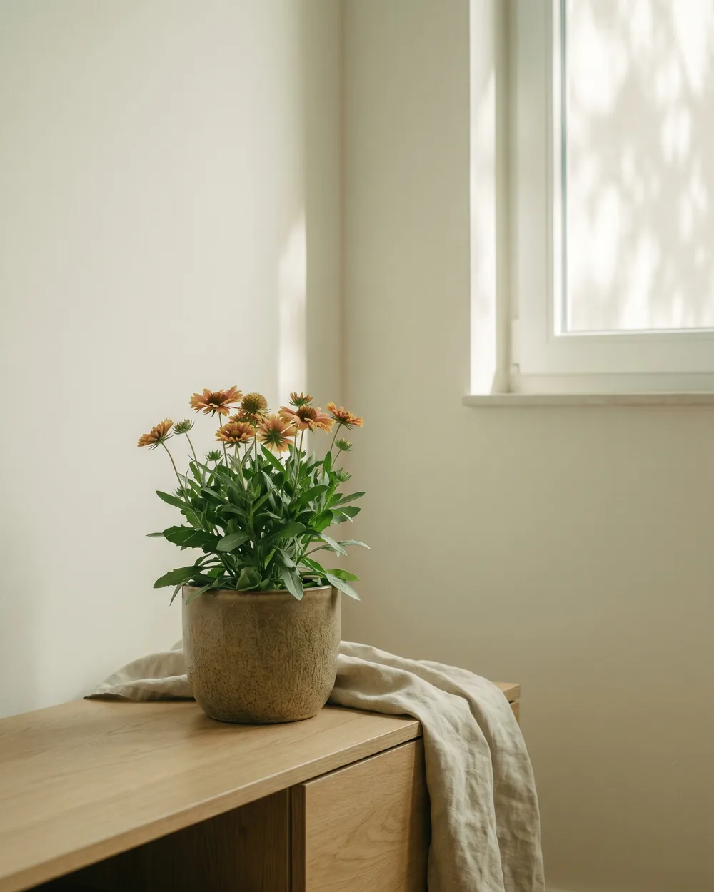Kokardenblume styliert im Wohnraum