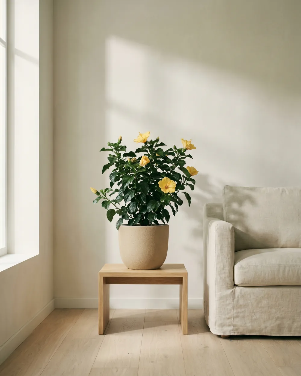 Hibiskus styliert im Wohnraum