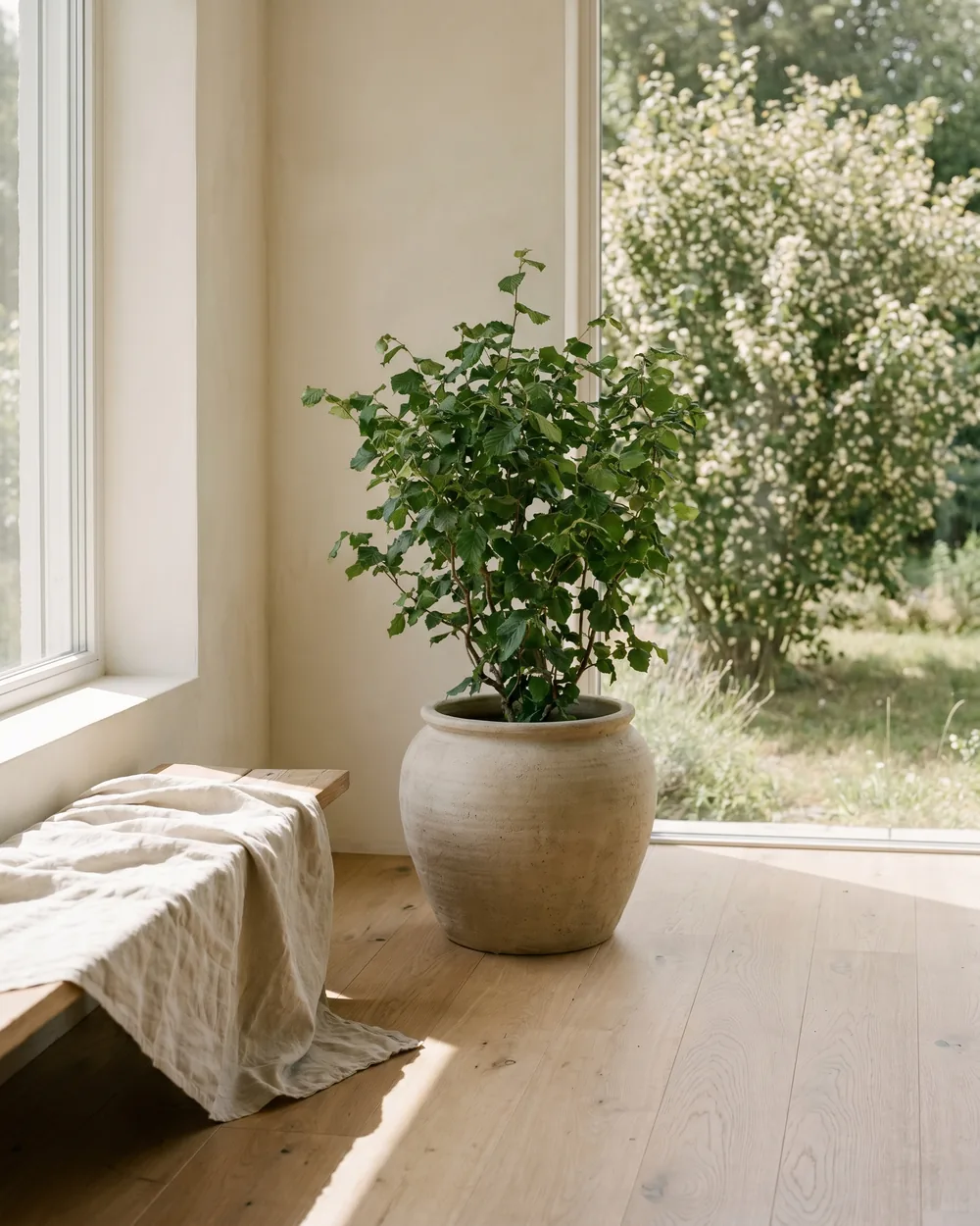 Korkenzieher-Hasel styliert im Wohnraum